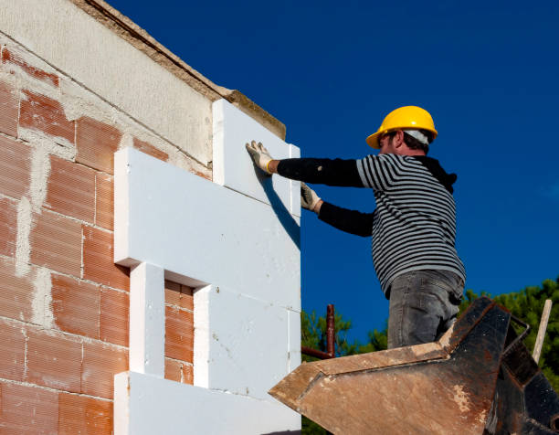 Best Cellulose Insulation in Roseville, MI