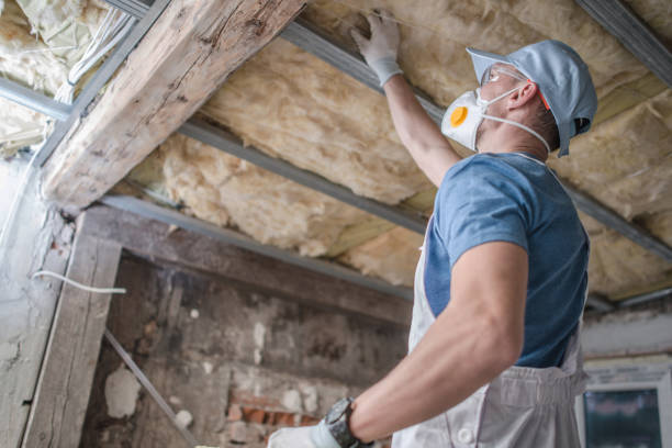 Best Spray Foam Insulation in Roseville, MI