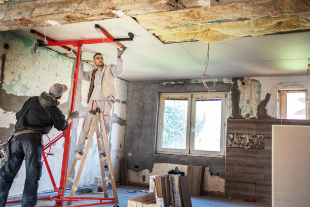 Best Insulation Maintenance and Repair in Roseville, MI