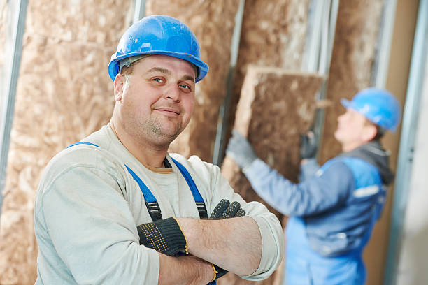 Best Energy Efficiency Insulation in Roseville, MI