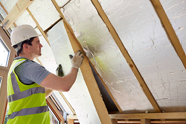 Best Energy Efficiency Insulation in Roseville, MI