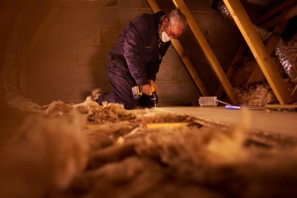 Best Specialized Insulation Services in Roseville, MI