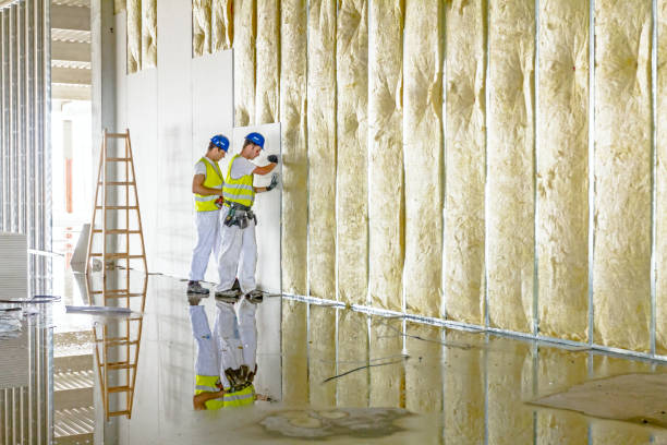 Best Residential Insulation in Roseville, MI